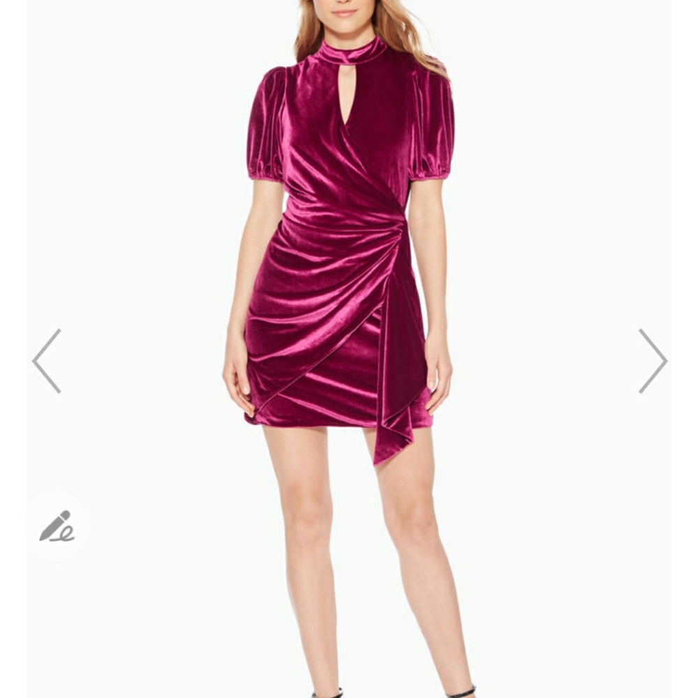 Parker mulberry velvet dress sz2